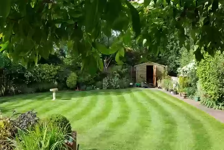 Grass Treatment Suffolk