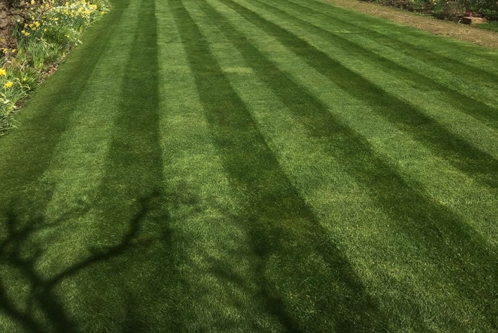 Taking care of your lawn in September