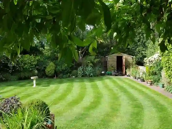 Lawn Treatments Bungay