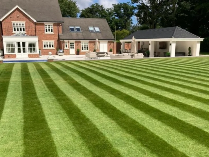 Lawn Care Specialists Norfolk