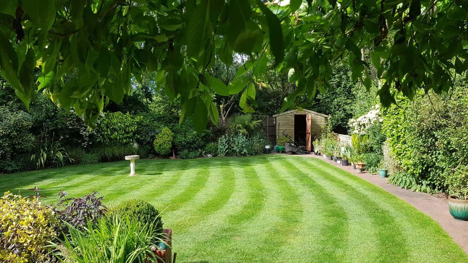 Lawn Experts Great Yarmouth