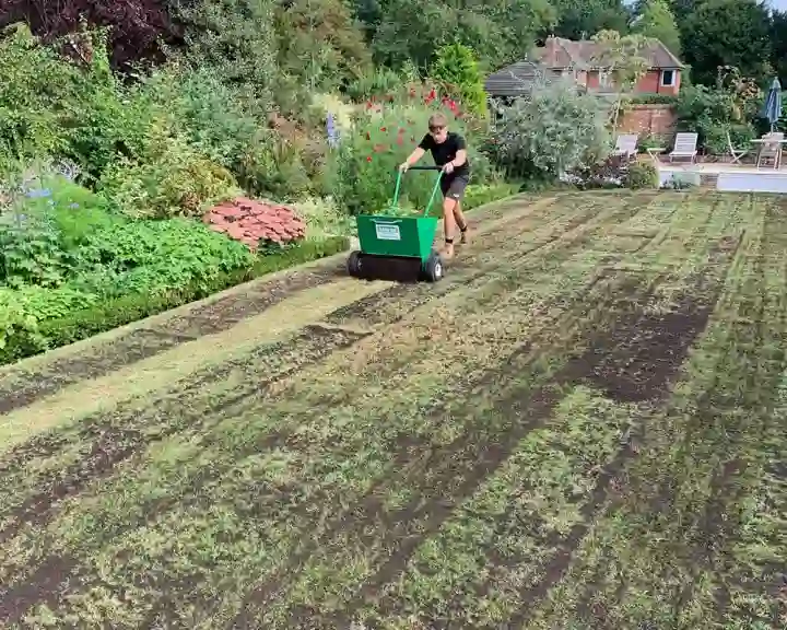 Lawn Seeding Suffolk