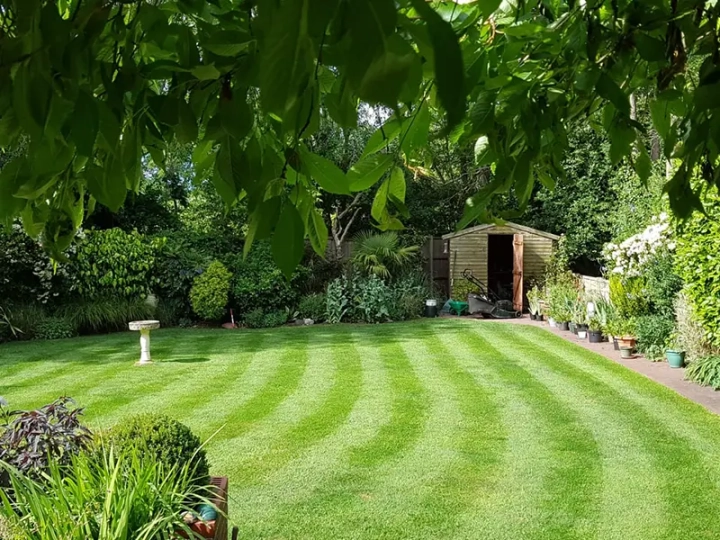 Lawn Scarification Leiston