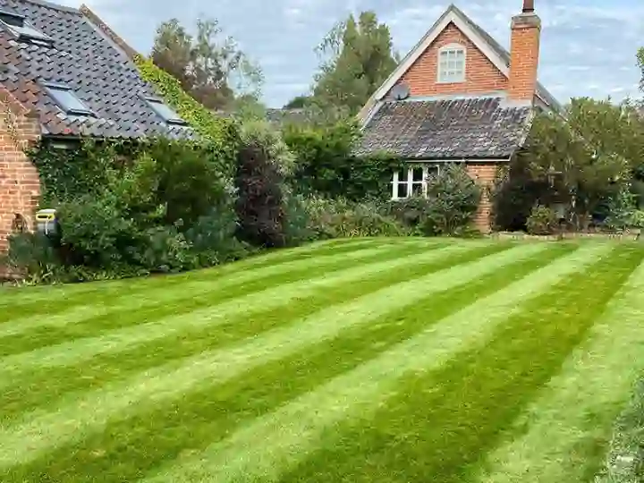 Lawn Scarification Norfolk