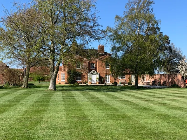 Lawn Scarification Norwich
