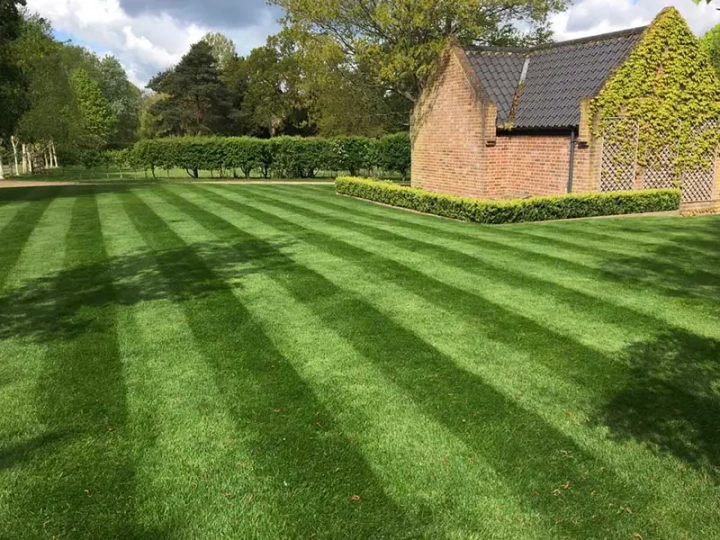 Lawn Scarification Suffolk