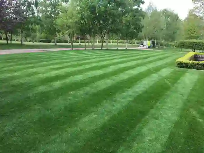 Lawn Treatments Long Stratton