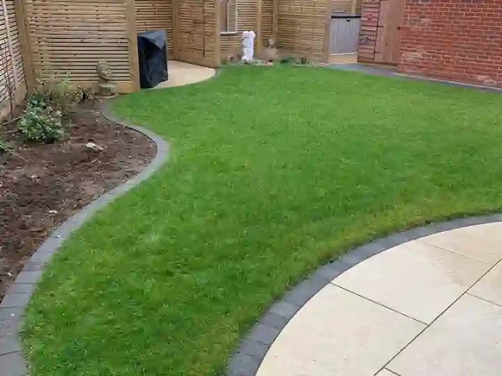 Lawn Treatments Norfolk