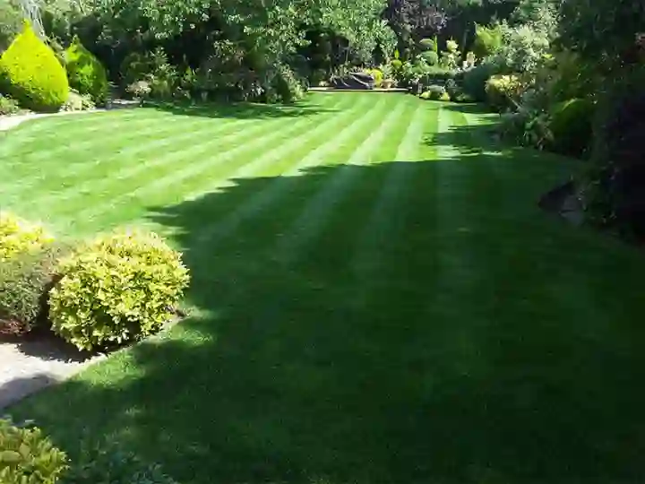 Lawn Treatments Southwold