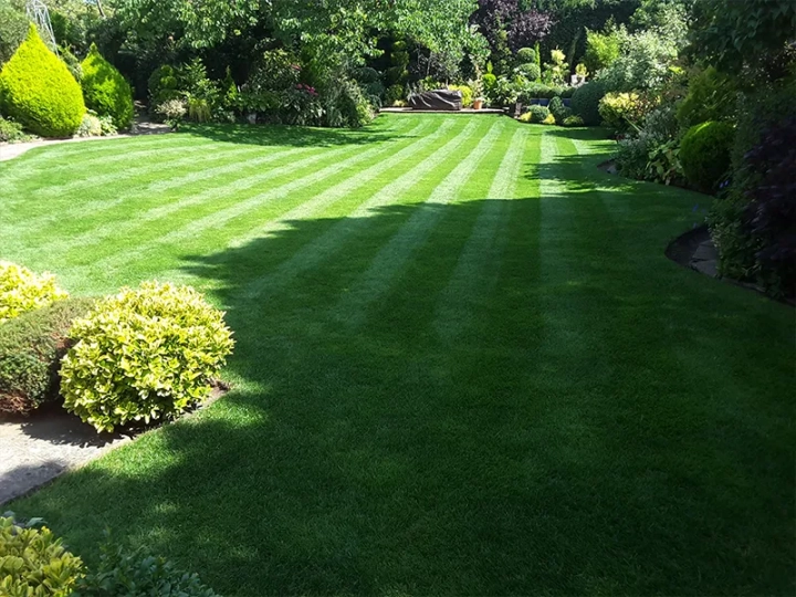 Lawn Treatments Southwold
