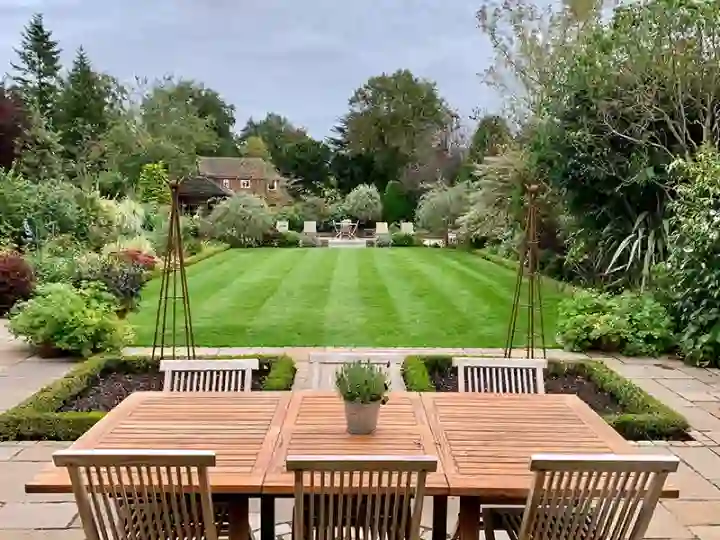Professional Lawn Care Norfolk