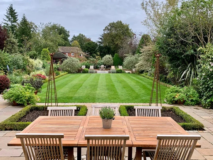 Professional Lawn Care Norfolk