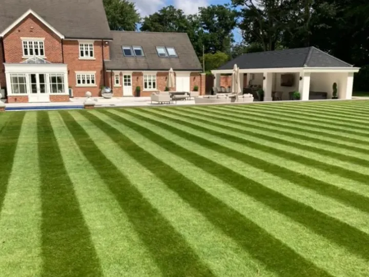 Robotic Mowers Beccles