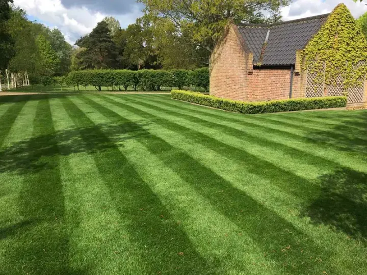 Robotic Mowers Pakefield