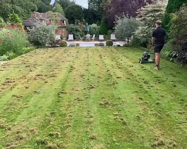 Lawn Renovations