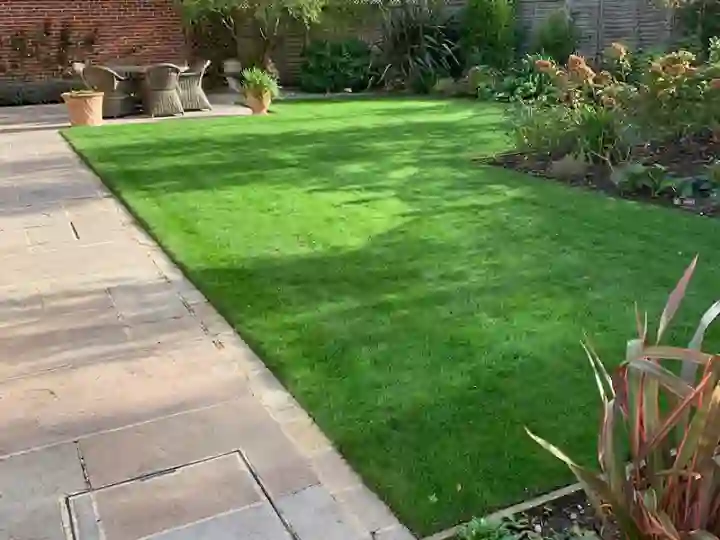 Spring Lawn Care Norfolk